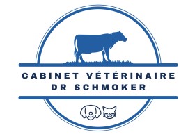 Cabinet Vétérinaire du Schmoker Aurélien